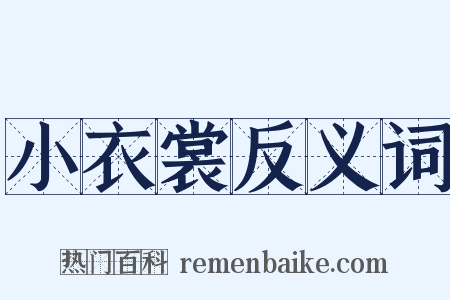 小衣裳反义词是什么意思的图片